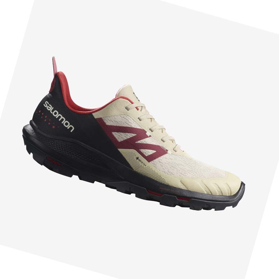 Salomon OUTPULSE GORE-TEX Túracipő Férfi Bézs | HU 2043TCE